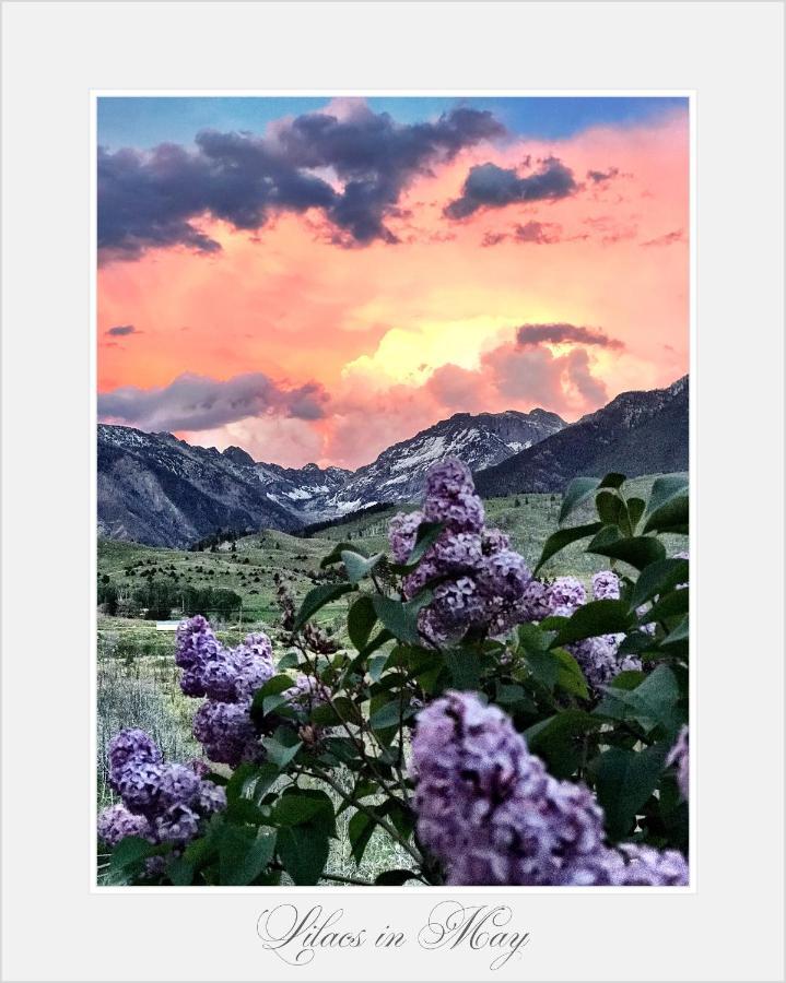 Pine Creek Cabin Livingston Montana Екстериор снимка