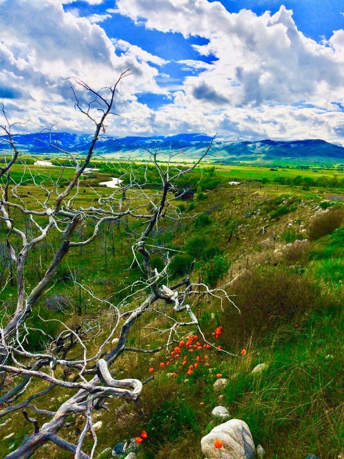 Pine Creek Cabin Livingston Montana Екстериор снимка