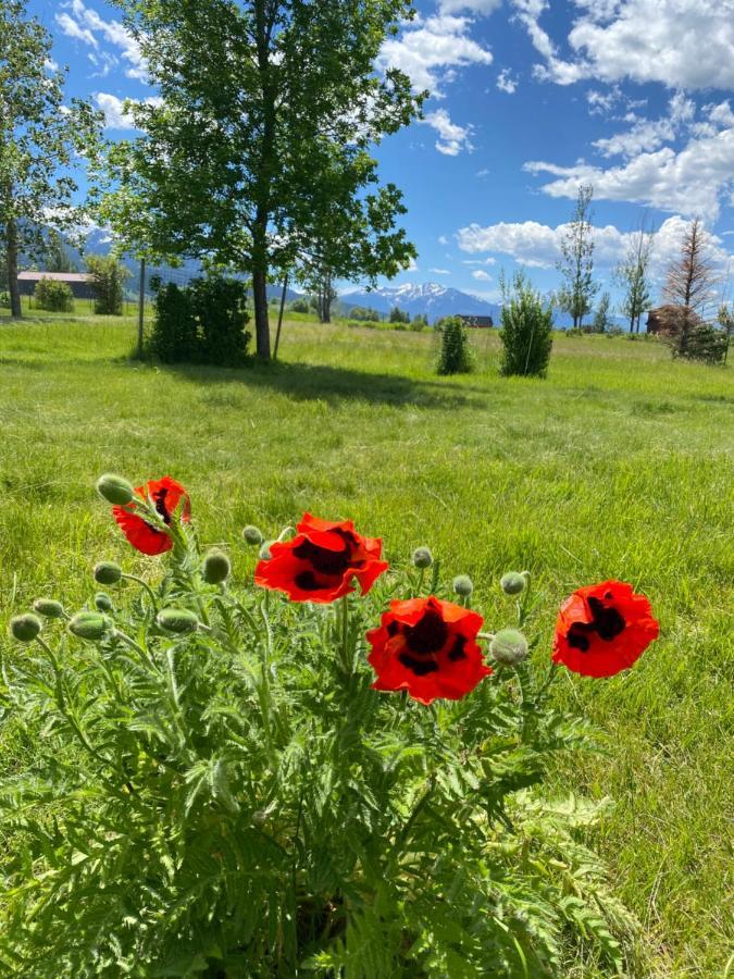Pine Creek Cabin Livingston Montana Екстериор снимка