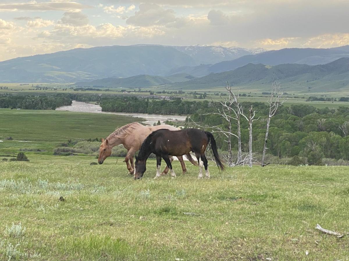 Pine Creek Cabin Livingston Montana Екстериор снимка