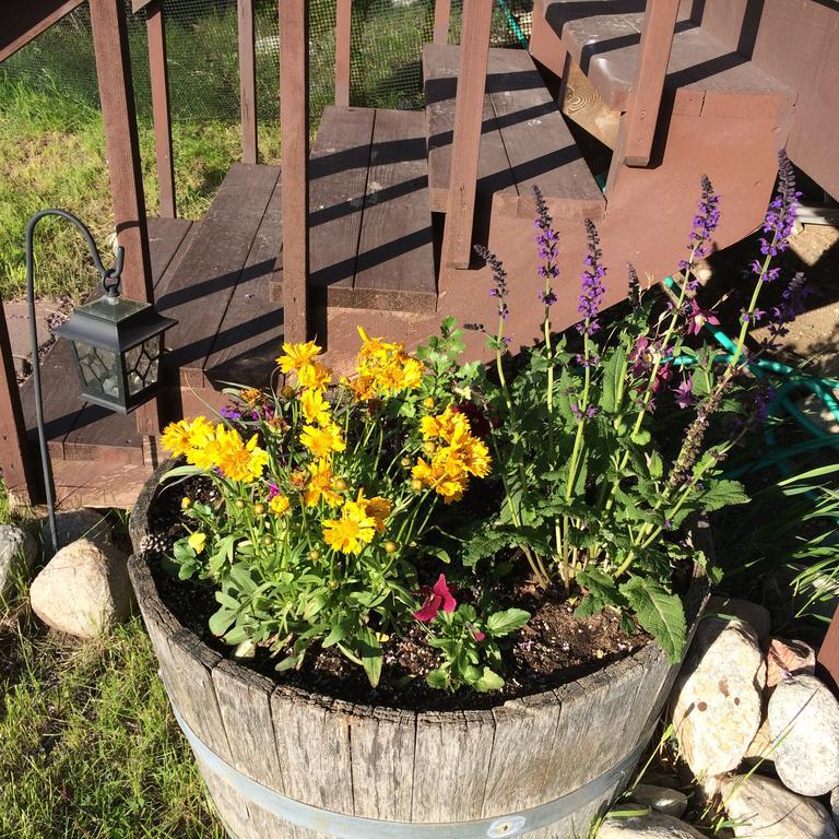 Pine Creek Cabin Livingston Montana Екстериор снимка