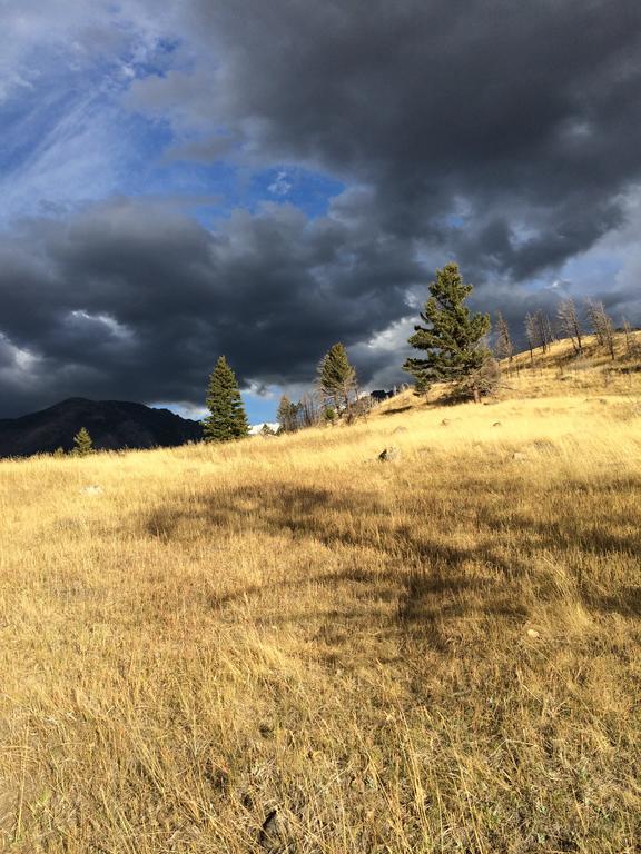 Pine Creek Cabin Livingston Montana Екстериор снимка