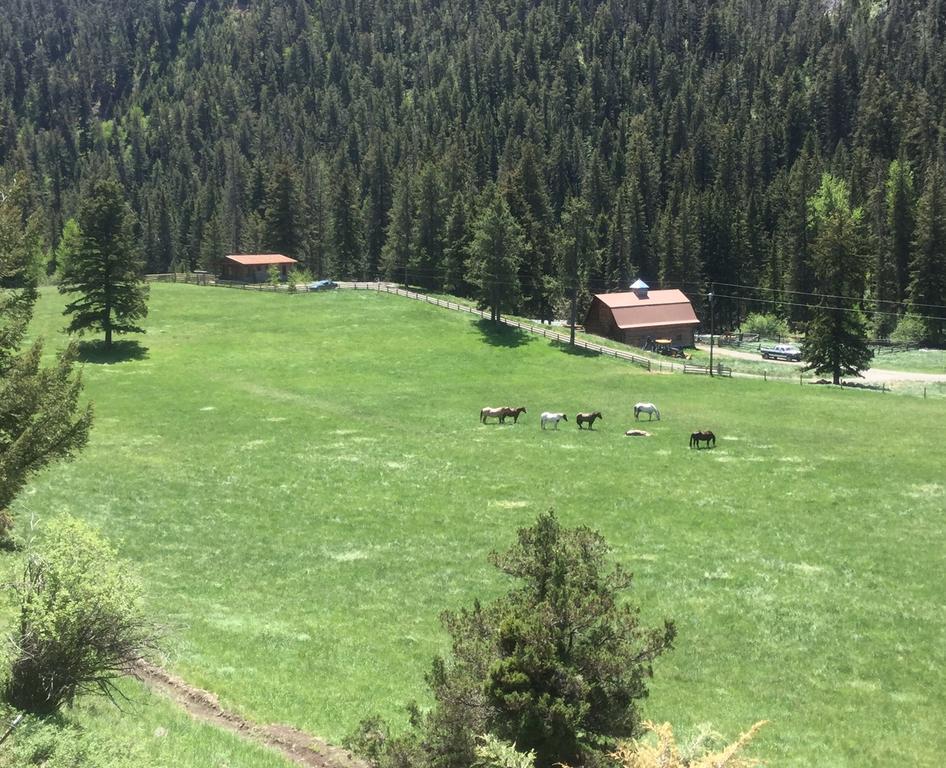 Pine Creek Cabin Livingston Montana Екстериор снимка